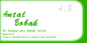 antal bobak business card